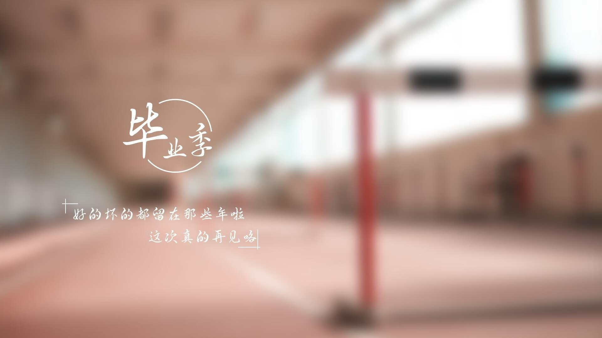 kaiyun体育app-T1战队社交媒体粉丝互动活跃，t1战队官博