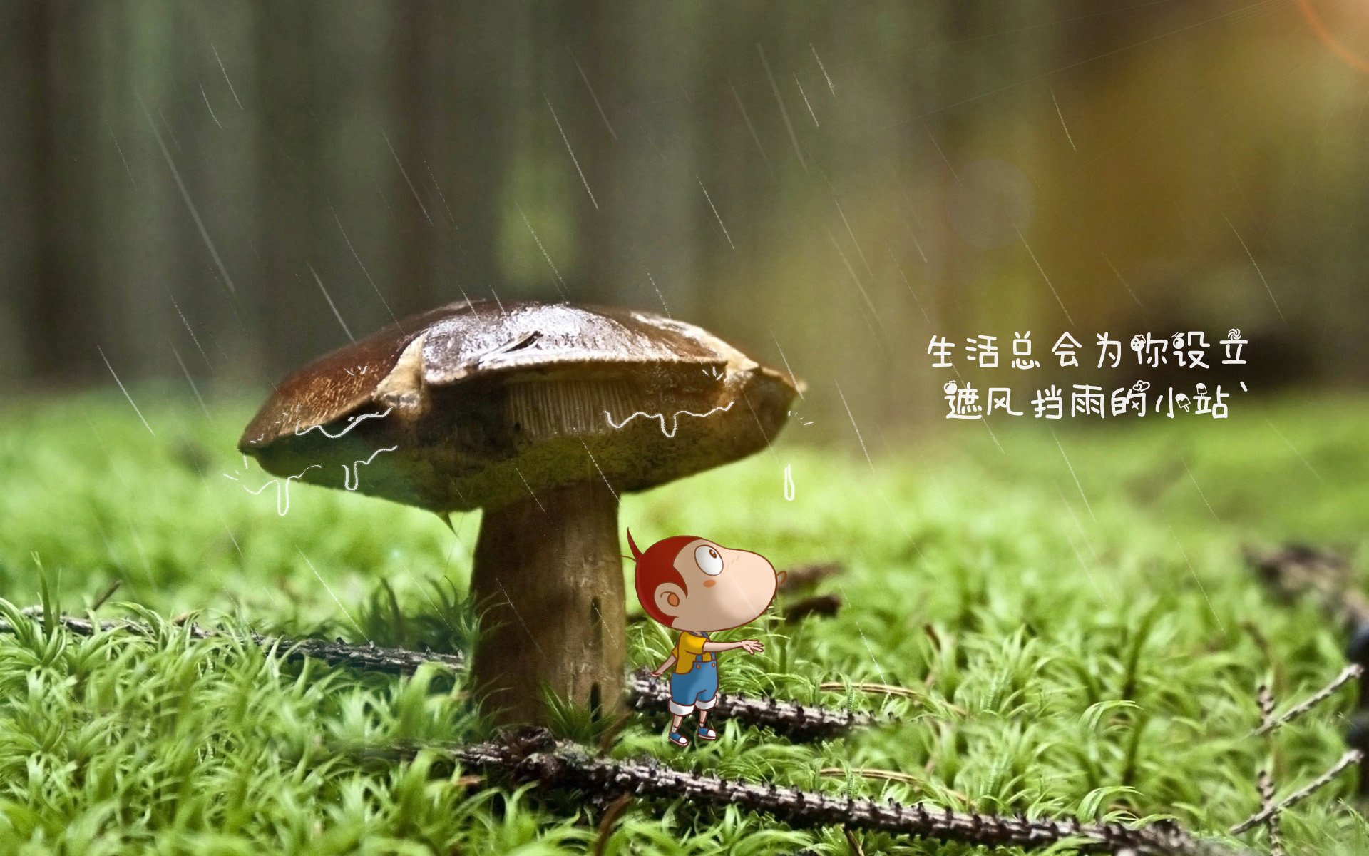 利物浦2-1狼队，萨拉赫破门，利物浦球队萨拉赫