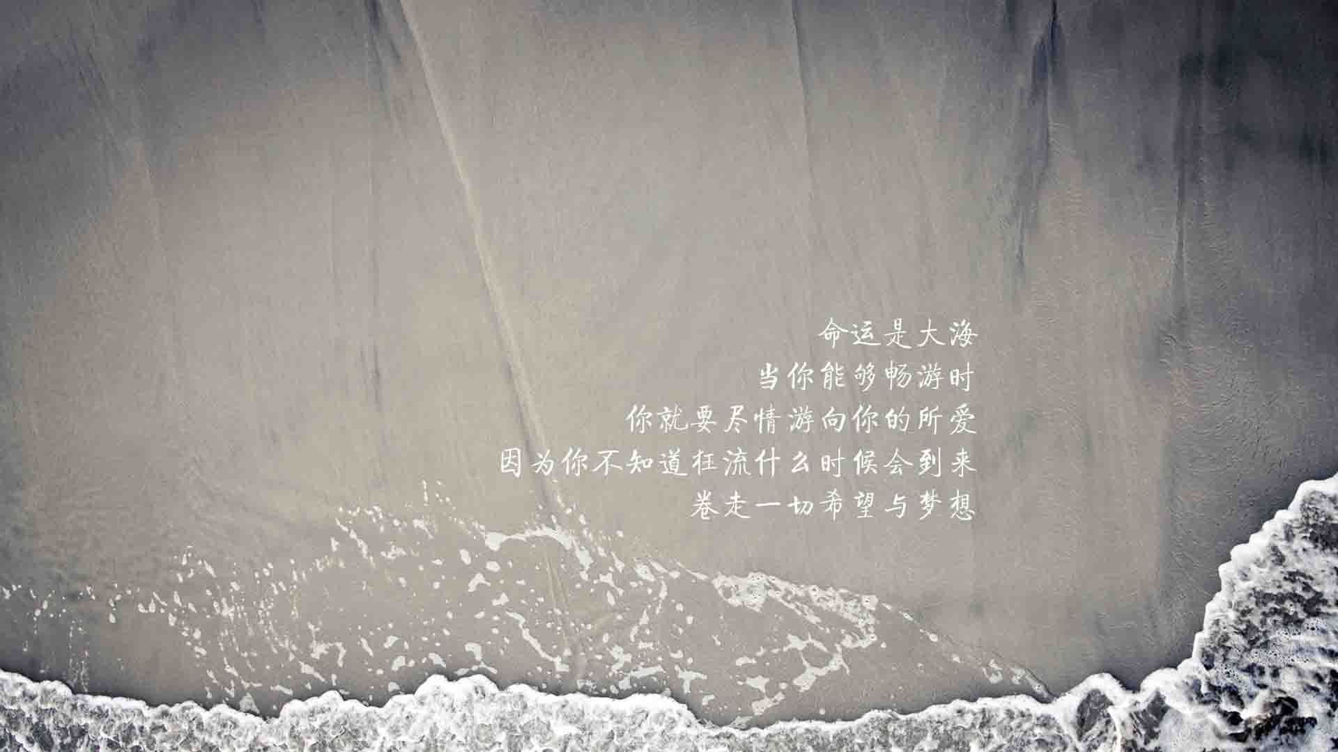 中澳仰泳对决成整场走向关键，澳大利亚仰泳