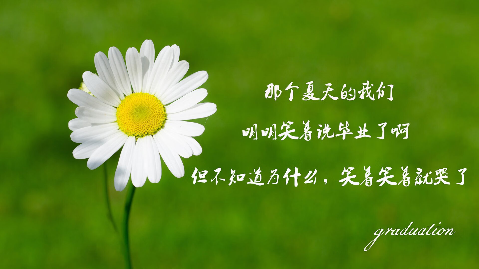 比赛节奏失衡阶段球队临场调整是否能有效逆转比分，比赛节奏是什么意思