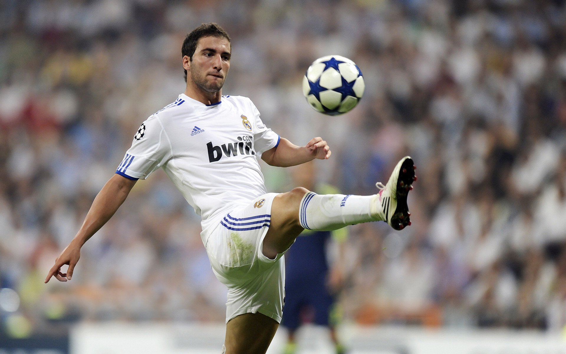 “中国女足备战海外友谊赛，目标冲击世界杯”，中国女足有没有外援