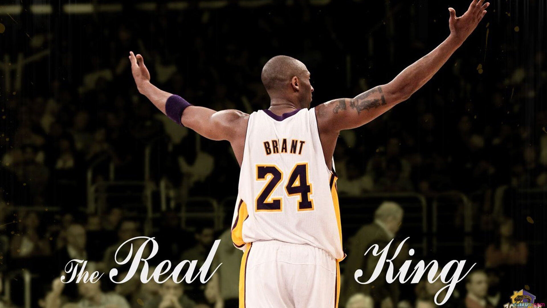 史上最“炸裂”篮下封堵，谁的盖帽最令人称道？，篮球封帽是什么意思